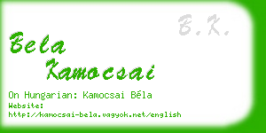 bela kamocsai business card